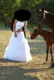 Suknia ślubna SPRZEDAM SUKNIE MARGARETT NET kolor: biały rozmiar: 36/38